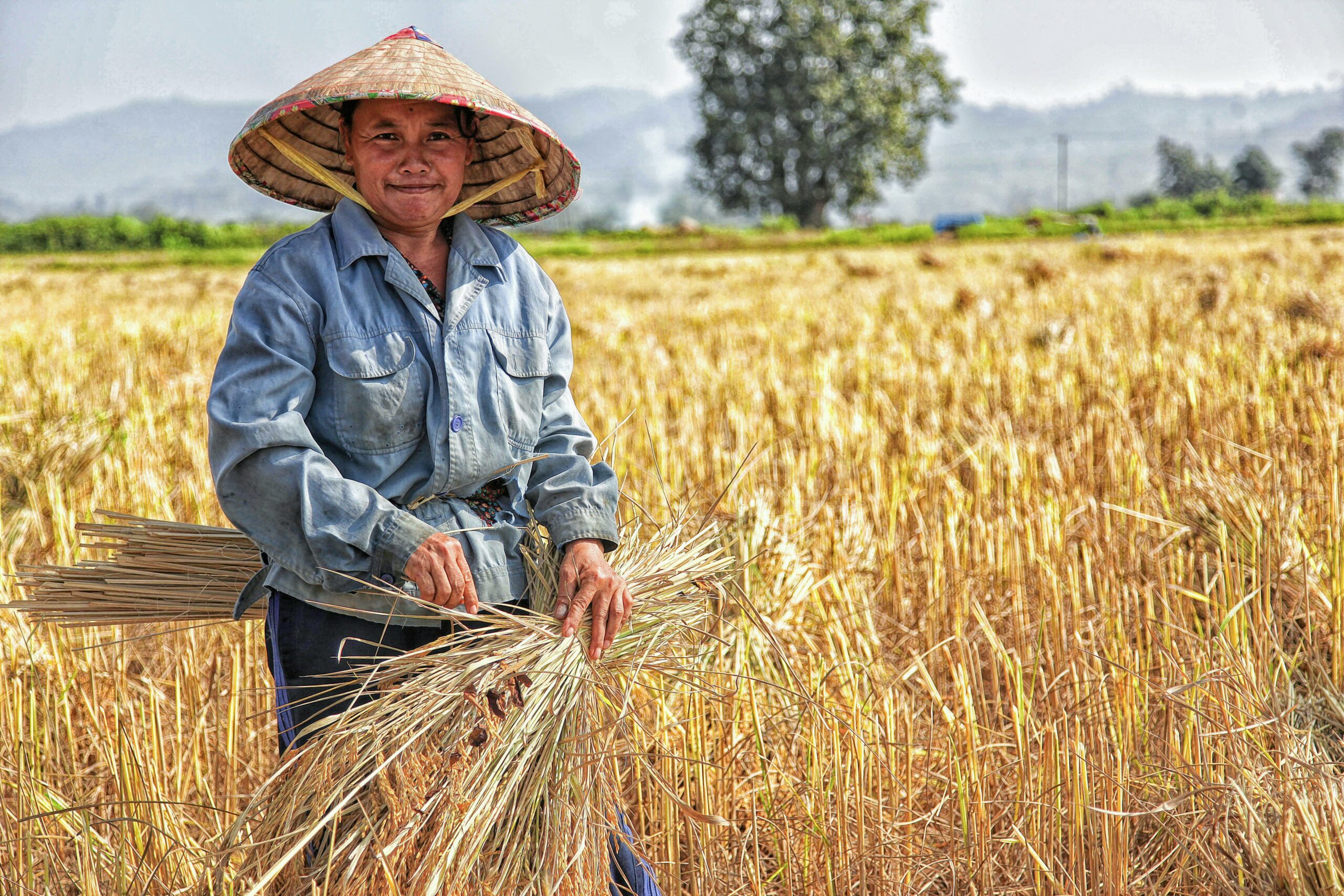 Straw Farmer Co-Op